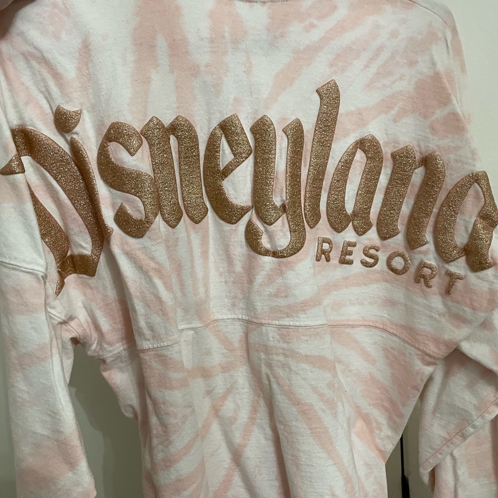 Disneyland Spirit Jersey